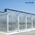 Multi Span Agricultural Polycarbonate Sheet Greenhouse